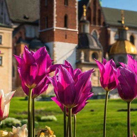 Designomania Apartments - Nadwislanska 11 Krakow Dış mekan fotoğraf