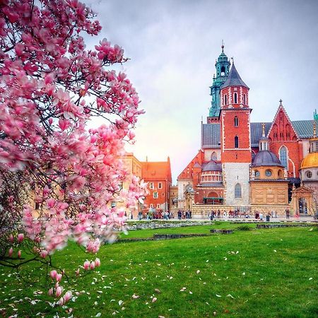 Designomania Apartments - Nadwislanska 11 Krakow Dış mekan fotoğraf